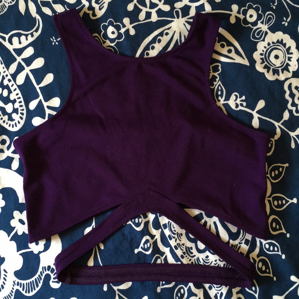 Purple Tobi crop top